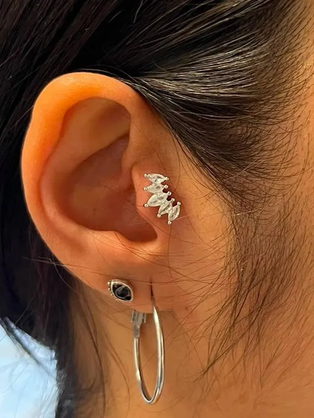 Conch and lobe
